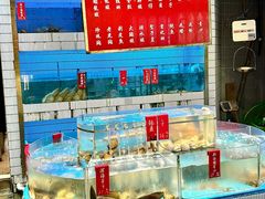 -禄婶鸡煲·打边炉