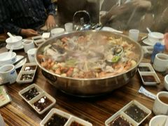 -鸭嘴鱼