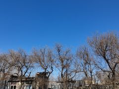 -春风习习