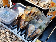 -大象营野Life营地·钓虾(坦尾店)