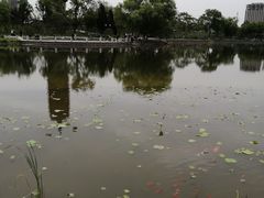 -西海子公园