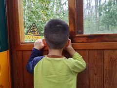 -合肥滨湖国家森林公园