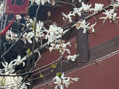 -钱王祠