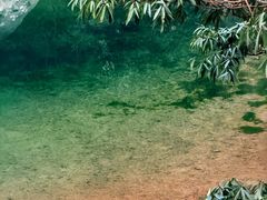 -龙湾潭国家森林公园