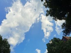 -浙江大学(玉泉校区)