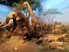 -陕西自然博物馆