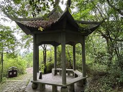 -宝石山