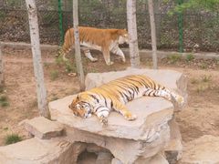 -济南野生动物世界