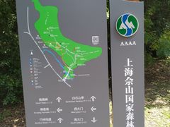 -上海佘山国家森林公园东门地面停车场
