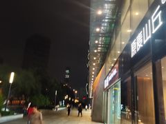 -远洋未来汇