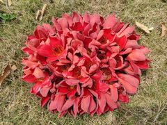 -中国移动南方基地