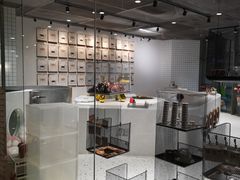 -柴务处·柴犬主题狗咖