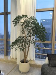 -JNK皮肤管理中心