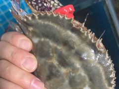 -宾朋海鲜特色美食餐厅·纯手工鲅鱼水饺(兴海路店)