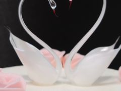 -BLACKSWAN黑天鹅(环球店)