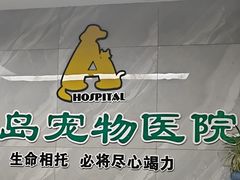 -半岛宠物医院24小时(白果林店)