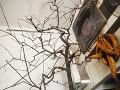 -新疆狼爷烤肉(宋庄店)