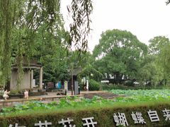 -鲁镇