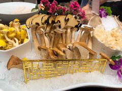-牛鼎盛新疆雪花鲜牛火锅(武夷绿洲 店)