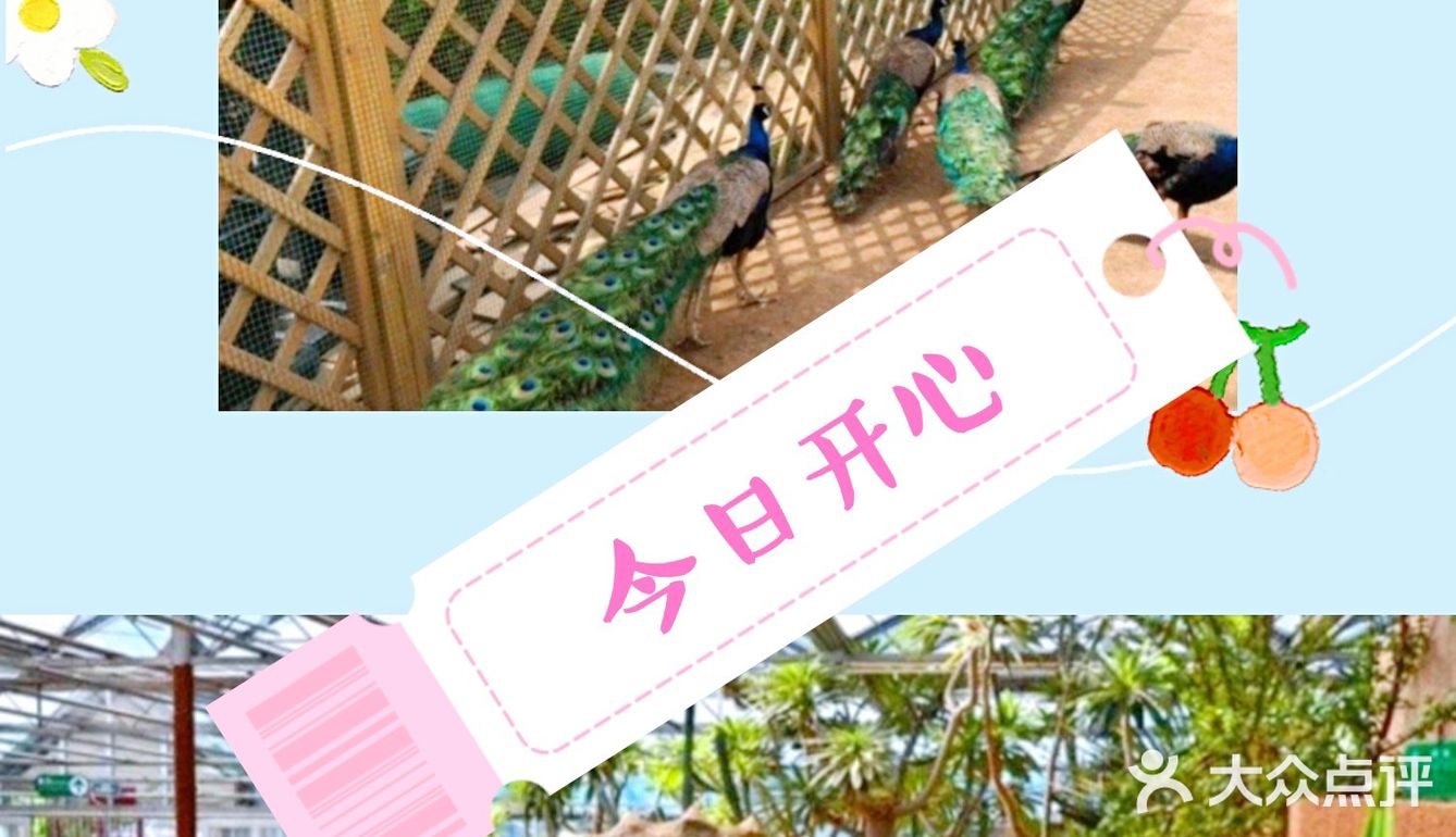 快乐动物园[胜利]！