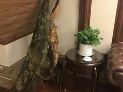 -南山鲜虾面·活鲜小馆·海味大连菜(南山总店)