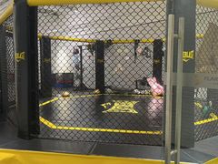 -FLARE STAR FITNESS(复地活力城店)