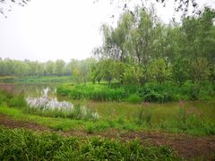 -东郊湿地公园