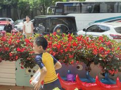 -小象润知早教·托育·幼儿园成长中心