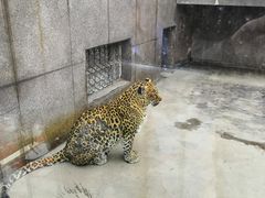 -西安秦岭野生动物园