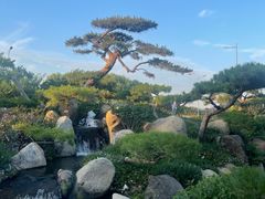 -罗红摄影艺术馆