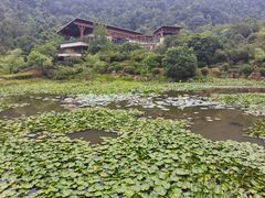 -桃花岭景区