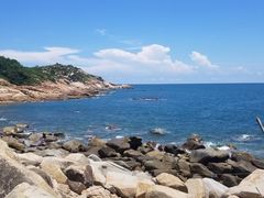 -广东惠东海龟国家级自然保护区
