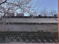 -春风习习