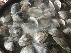 -顺德哥卜卜贝(旗舰店)