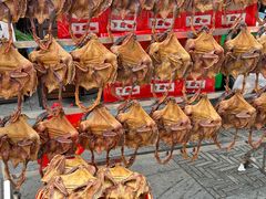 -沙县小吃文化城