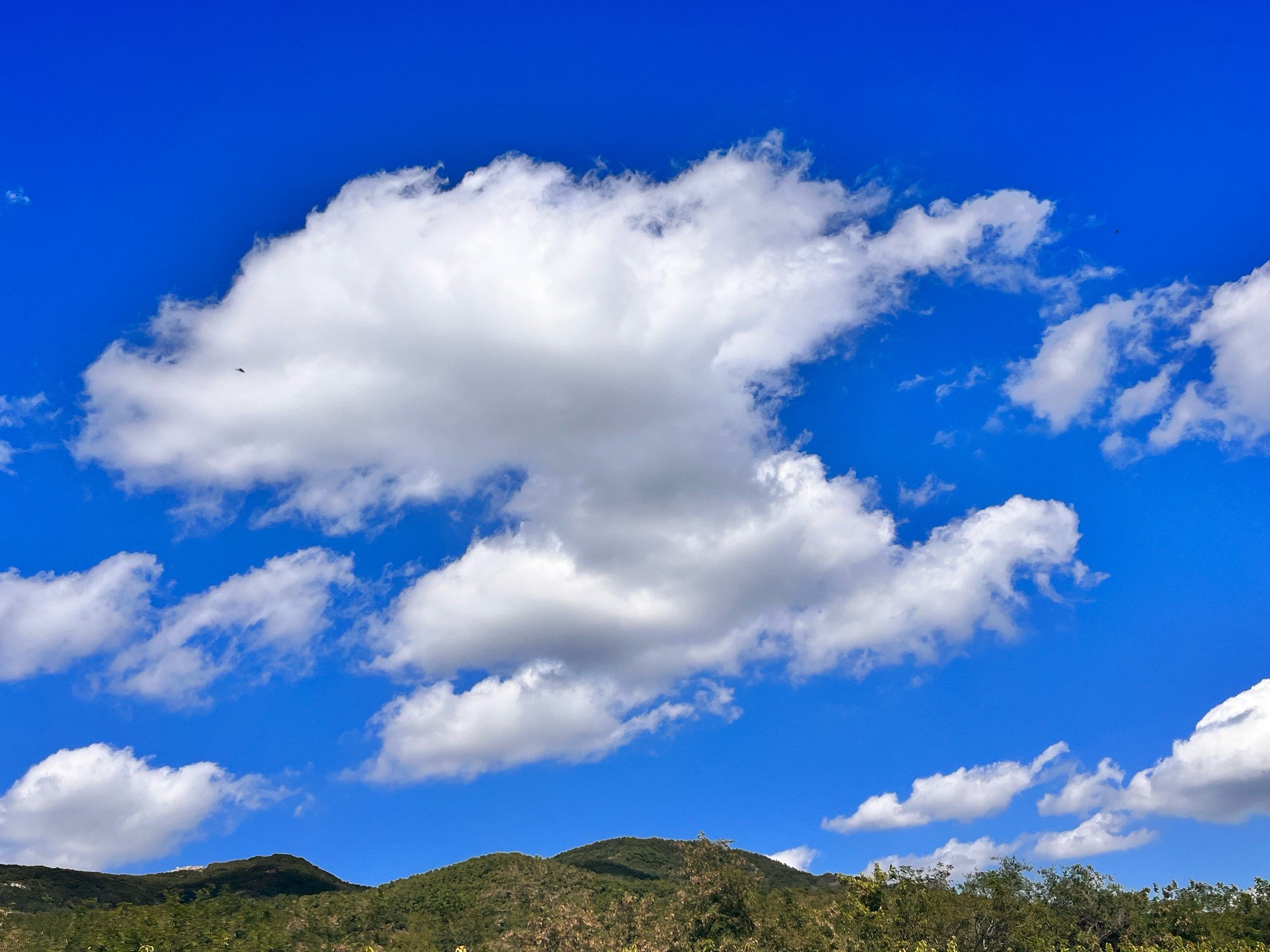 今天的云彩好像画一样