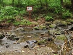 -香炉山国家森林公园