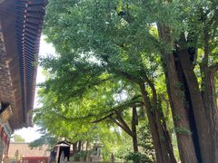 -红螺寺