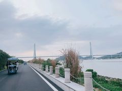 -芒洲湿地公园