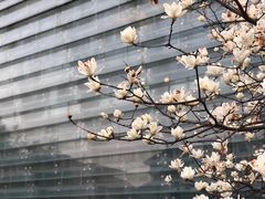 -活水公园
