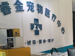 -睿金宠物医院·CT·肿瘤·骨外科