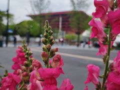 -东浩兰生上海世博展览馆