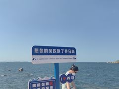 -养马岛旅游度假区