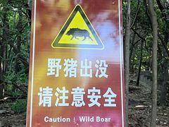 -紫金山山顶公园