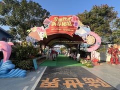 -巨鹏飞梦幻海岸