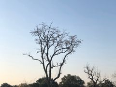 -汉长安城未央宫国家考古遗址公园