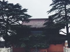 -孤山景区-孤山寺