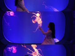 -海合安成都极地海洋公园