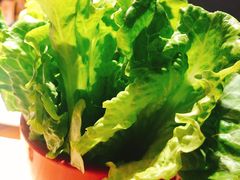 生菜-碳说品道.瓦片烤肉.海鲜烧烤(中华路店)