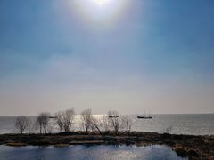 -苏州太湖国家湿地公园